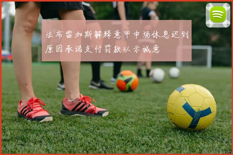 法布雷加斯解释意甲中场休息迟到原因承诺支付罚款以示诚意
