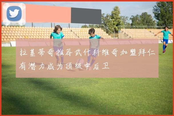 拉基蒂奇推荐武什科维奇加盟拜仁有潜力成为顶级中后卫